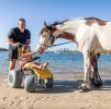 Wheeleez Sandpiper All-Terrain / Beach